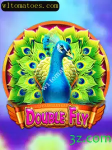 Explorando o Mundo de DoubleFly: Aventura e Estratégia em um Novo Jogo de Tabuleiro