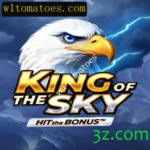Descubra KingOfTheSky: O Jogo que Conquista Alturas