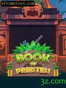 Explorando o Fascinante Mundo do Jogo 'BookOfPriestess'